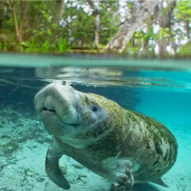 Utilities Engineering | Hernando County